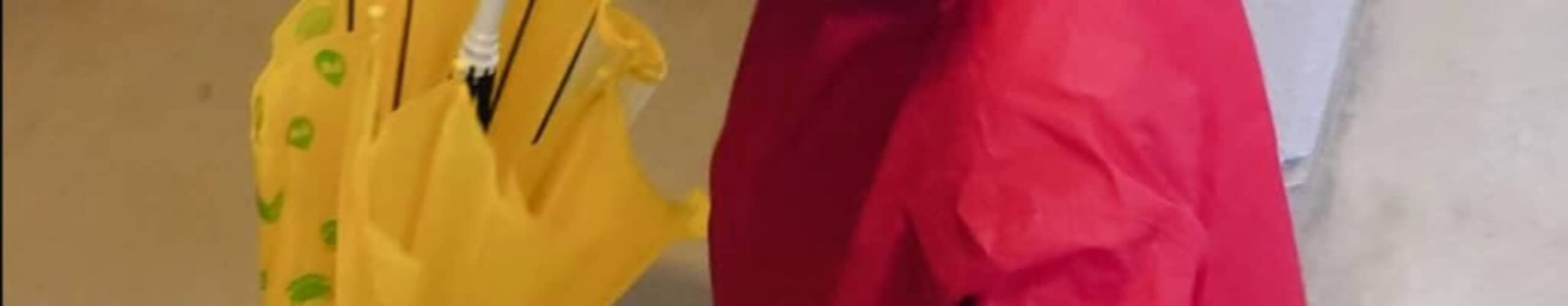 万博へ行く3歳息子にレインコートを着せたママ「改造したので」→まさかの姿に「こ、こ、これは！」「このコンボは反則級」（1/3）