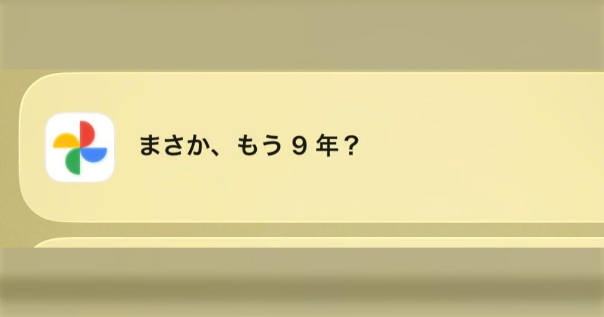 Googleフォトが亡くなった猫の写真に『見てほしいにゃ～ん』とか適当なテキストつけて『あれから5年』とか告知してくるんだけどガチでやめてほしい