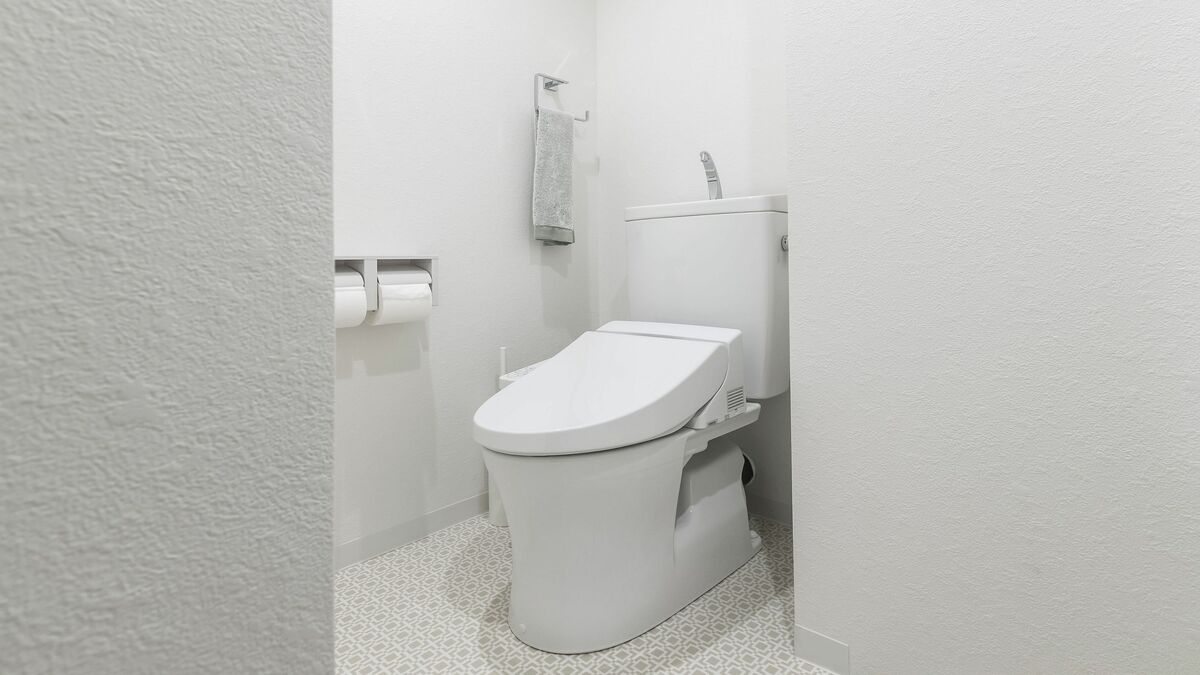 ｢お尻の洗いすぎ｣はかえって危ない…温水便座を｢水圧最強｣で浣腸代わりに使い続けた人の｢恐ろしい症状｣ 便意を感じづらくなり､排便機能も衰える