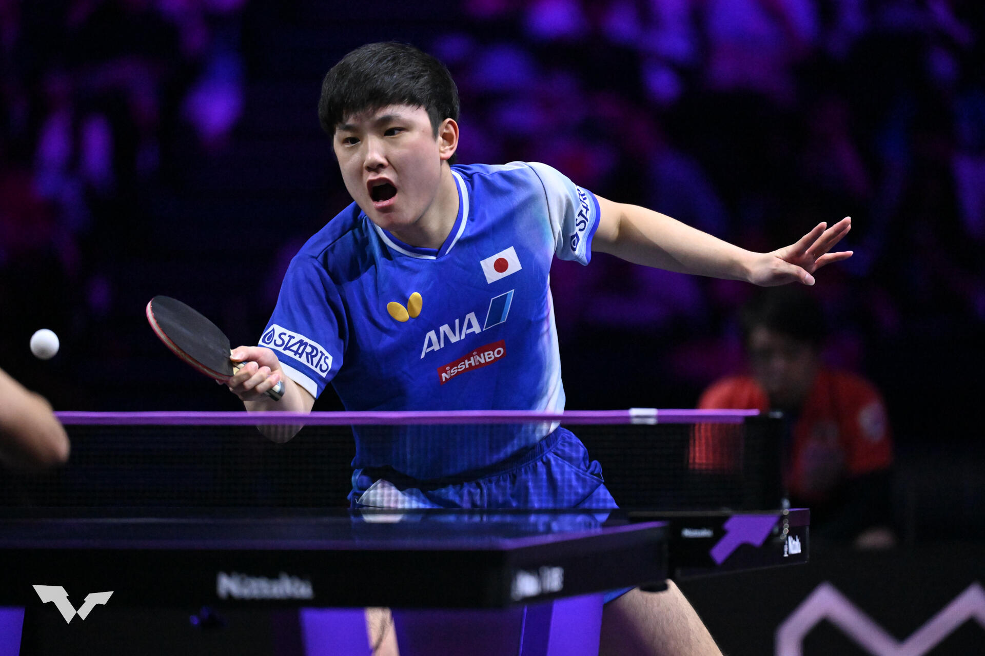 張本智和 世界卓球銅のアンにフルゲームで敗北。日本男子は16強で姿を消す【卓球 ヨーロッパスマッシュ】