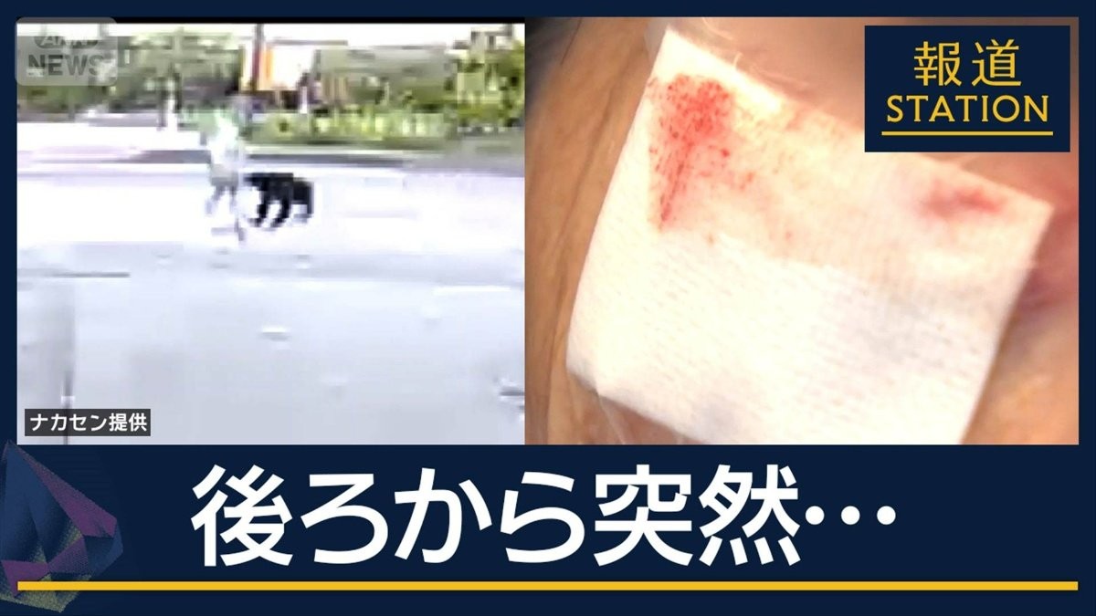 散歩中の女性に飛びかかる…襲われる瞬間の映像 クマが人の顔を狙う理由