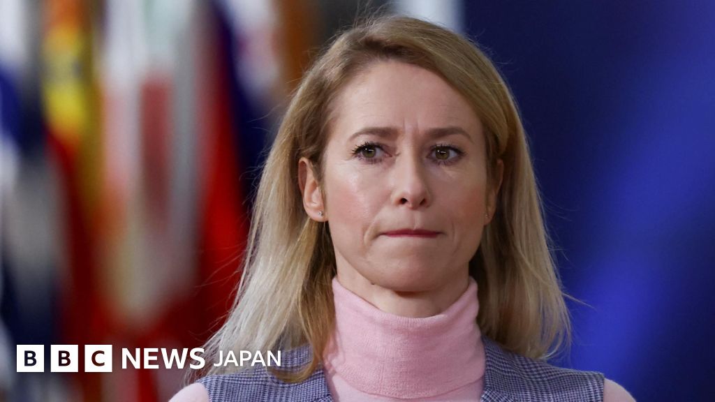 EU外交トップ、ウクライナがプーチン氏公邸を攻撃したとするロシアの主張を否定 和平プロセスへの妨害と非難