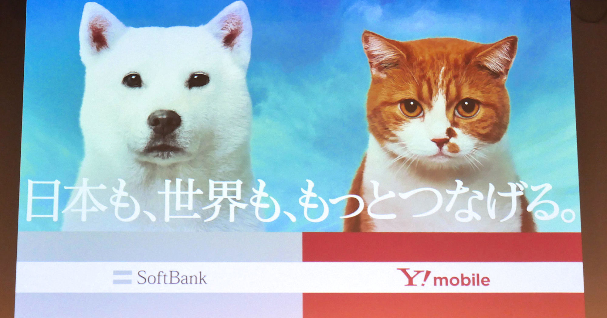 ソフトバンク値上げの背景に「通信品質維持の限界点」 Y!mobileは収益重視で改定、LINEMOは据え置き