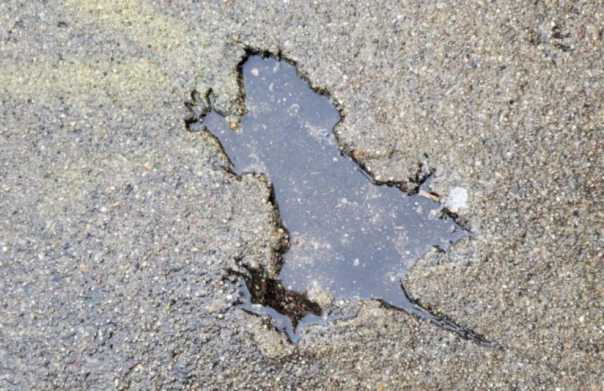 コンクリートに残された「ネズミの穴」の正体が、科学の力によってついに明らかに！