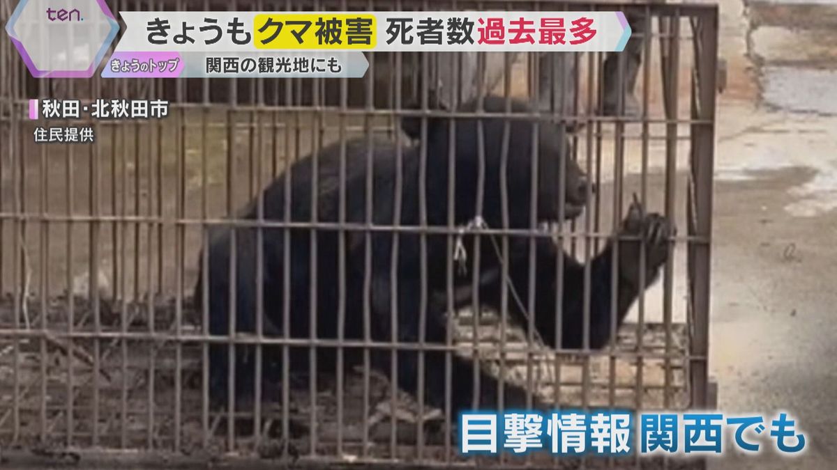 【警戒】京都・嵐山でクマの目撃相次ぐ 観光客からも不安の声 全国での被害は過去最多…10人が死亡