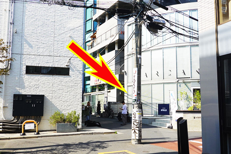 邪魔すぎるだろ…!? 道のど真ん中に「ポツンと電柱」たち どうしてこうなった？