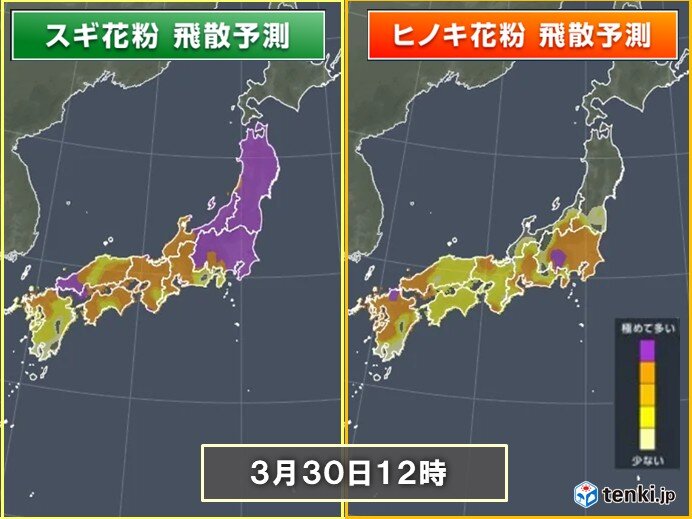 花粉シーズン続く 30日は東京や仙台など「極めて多い」 九州は雨でも対策を
