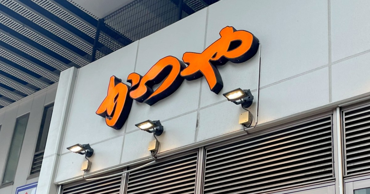 【困惑】かつやの新商品「うなぎの蒲焼きとロースカツの合い盛り丼」を期待して頼んだら…思ってたのとだいぶ違うのが来た