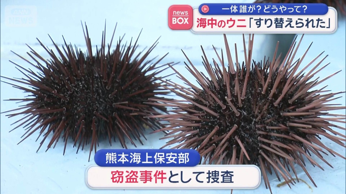 海中のウニ「すり替えられた」 一体誰が？どうやって？ 窃盗事件で捜査