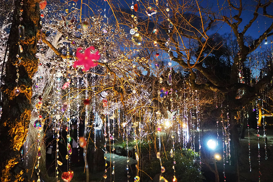 京都に期間限定の“異空間”…蜷川実花が手掛ける「360度のアート体験」