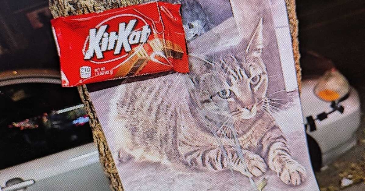 米国の看板猫、自動運転タクシーにひかれ死亡 地域住民から批判噴出 追悼が反対運動に発展