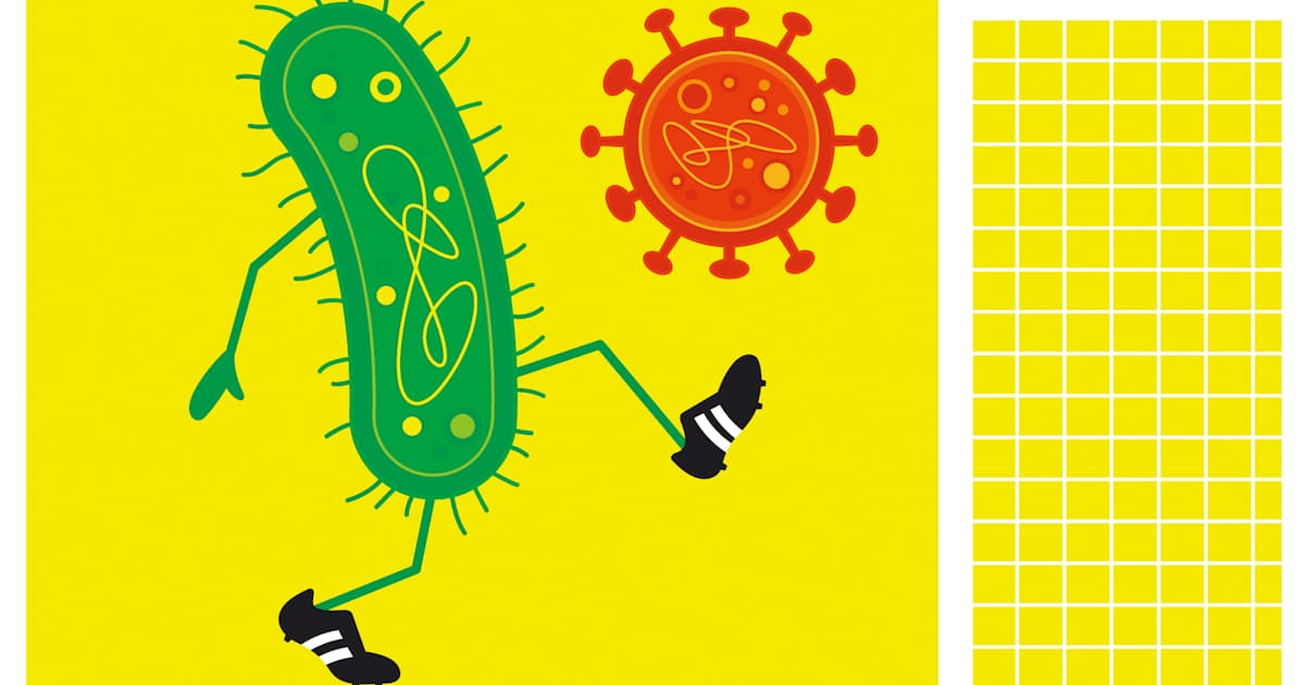 細菌がウイルスから身を守るしくみ ウイルスのDNAを記憶し撃退