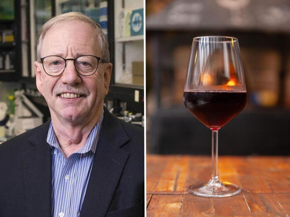 「皆、永遠に生きることにこだわりすぎ」…長寿研究者が実践する2つのアンチエイジング習慣（海外）（BUSINESS INSIDER JAPAN）