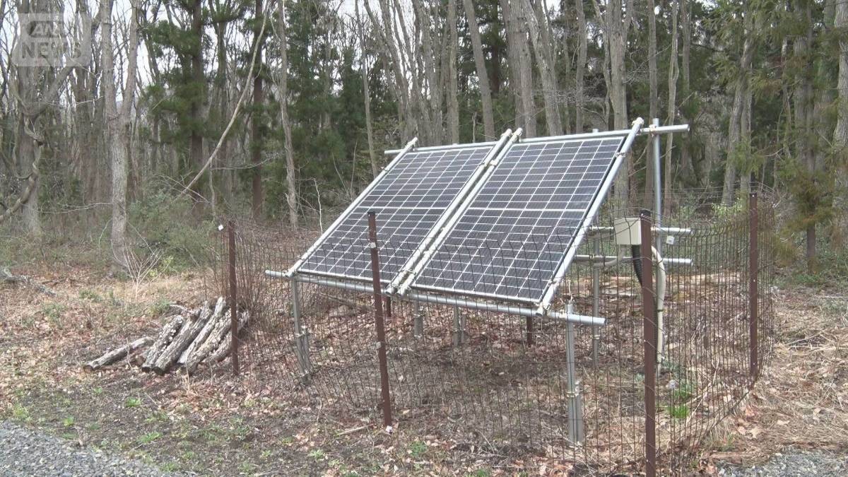 電力価格が上がる“飛び地メガソーラー”に処分 国が初の交付金返還命令