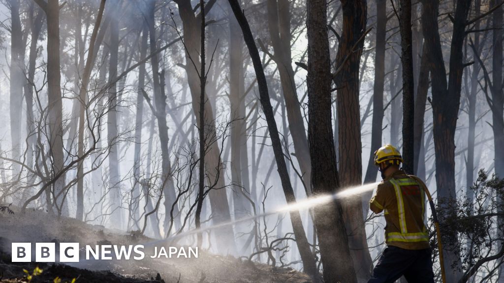 スペイン、山火事で12人死亡 南欧で熱波続く