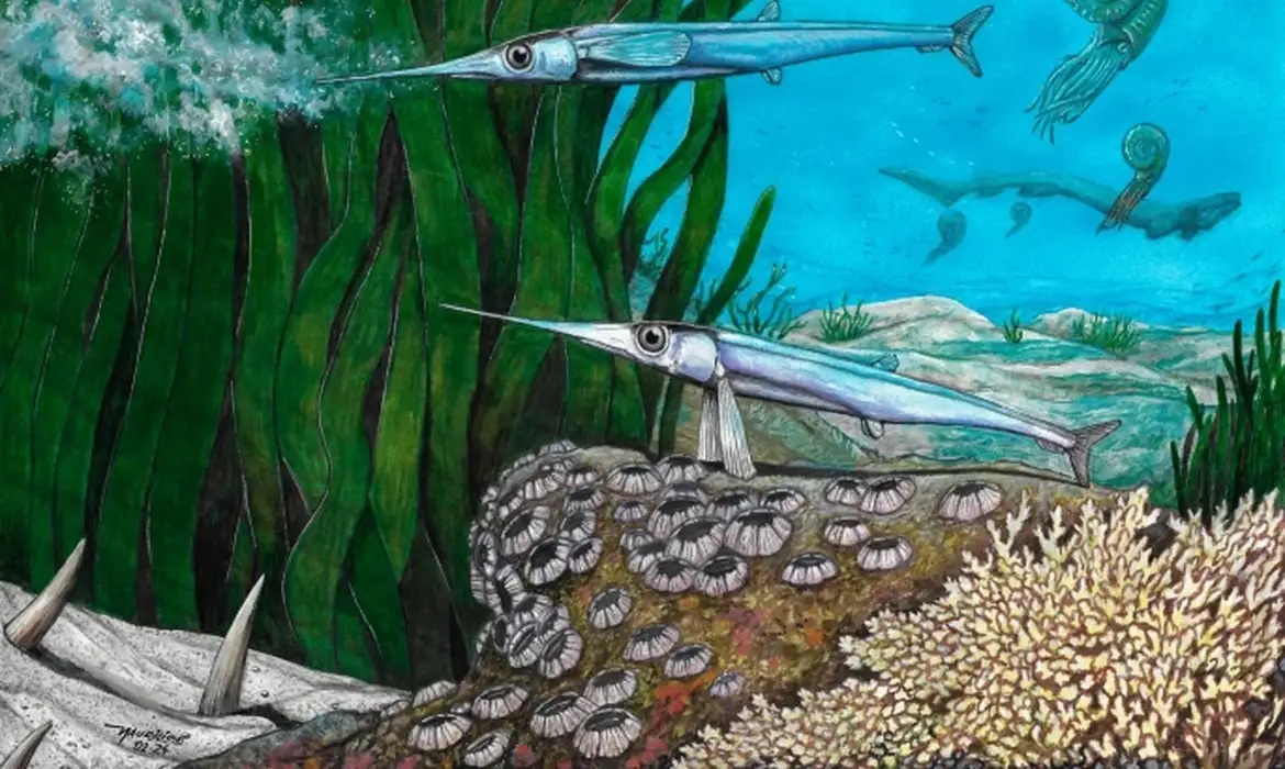 ブラジルの科学者が先史時代の魚類の新種を特定、「ネイチャー」誌に発表（MEGABRASIL）