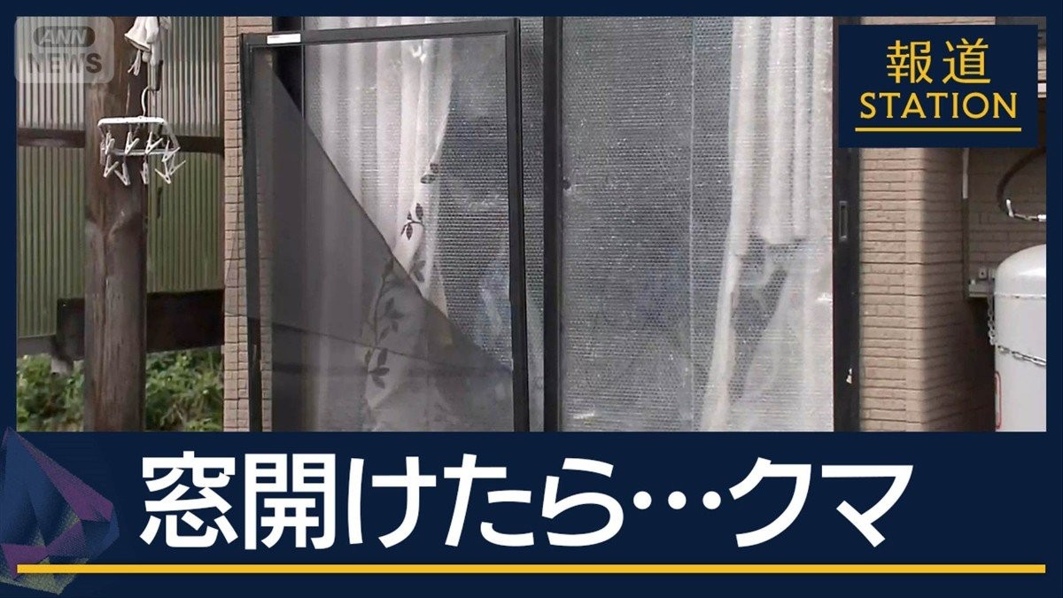 「窓開けたらいた」飼い犬犠牲…住宅に侵入試みるクマ 専門家「急な攻撃スイッチも」