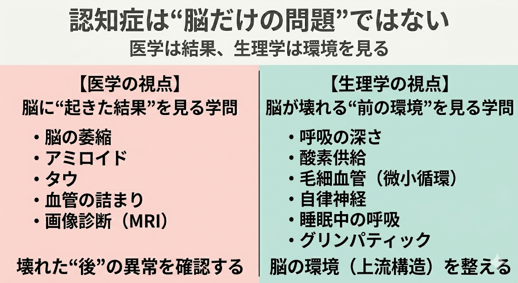 🟥認知症は"脳だけの問題"ではない──医学が扱えない「脳の環境」に注目する新しい視点