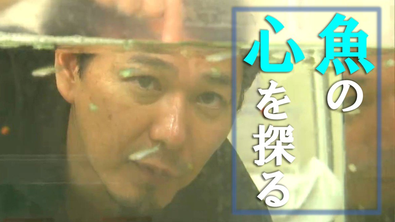 魚に「心」はある? “釣られた記憶” は2か月以上保持 新潟大学・高橋宏司准教授が解き明かす『魚類心理学』 水産業にも貢献