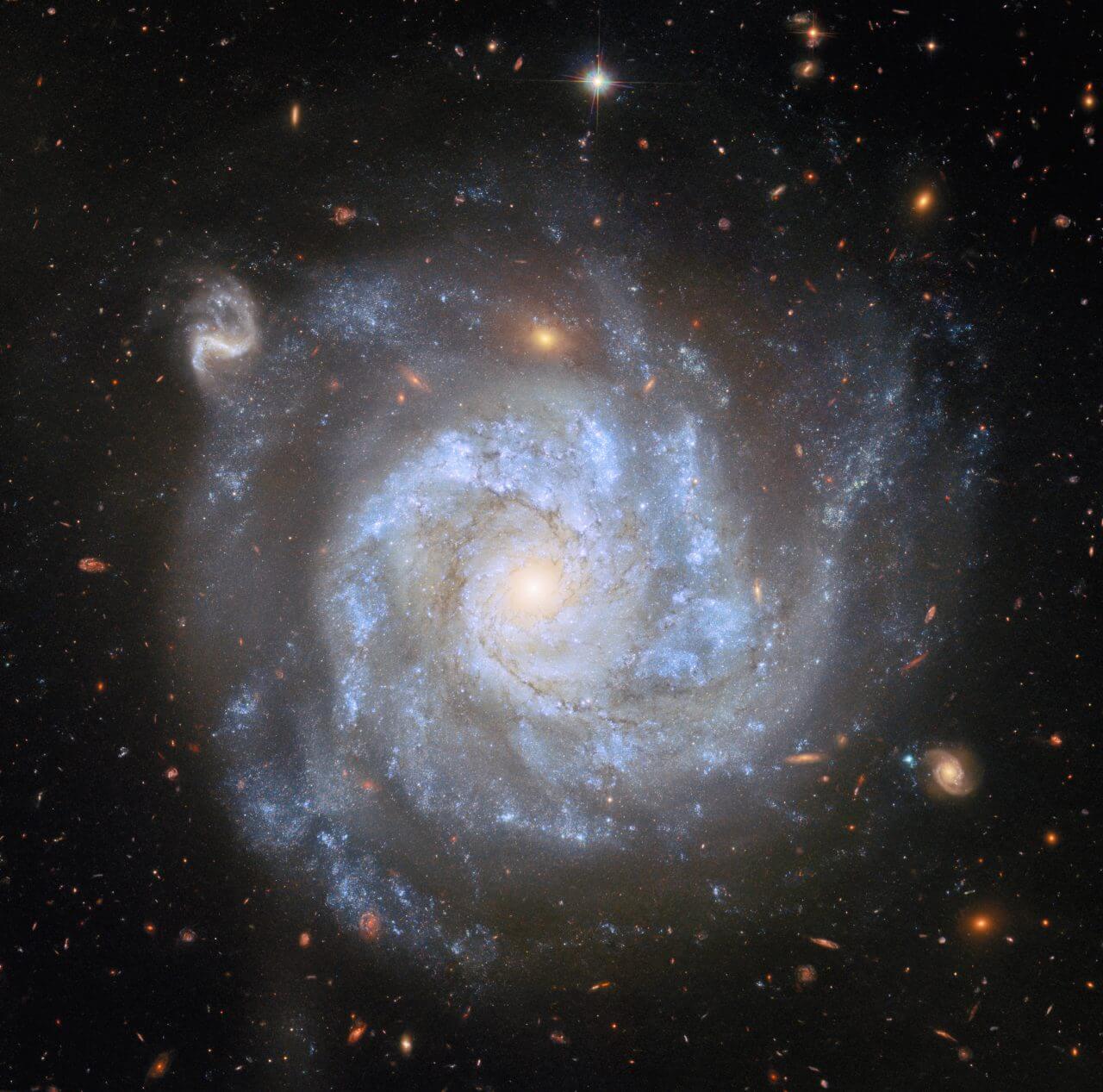 数百の遠方銀河とともに写るエリダヌス座の渦巻銀河「NGC 1309」 ハッブル宇宙望遠鏡が観測