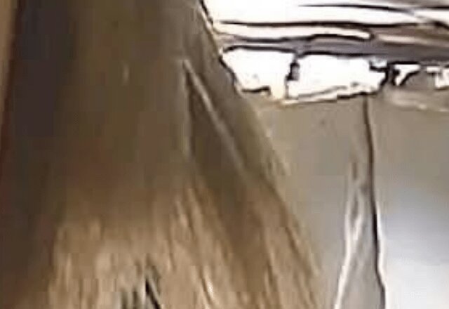 妻「見守りカメラの調子悪いから画面見てほしい」夫「分かった」→直後、夫の全身を震わせた光景に「見られてるの恥ずかしww」「これはそうなるわw」「一瞬心臓止まるわ」（ほ・とせなNEWS）
