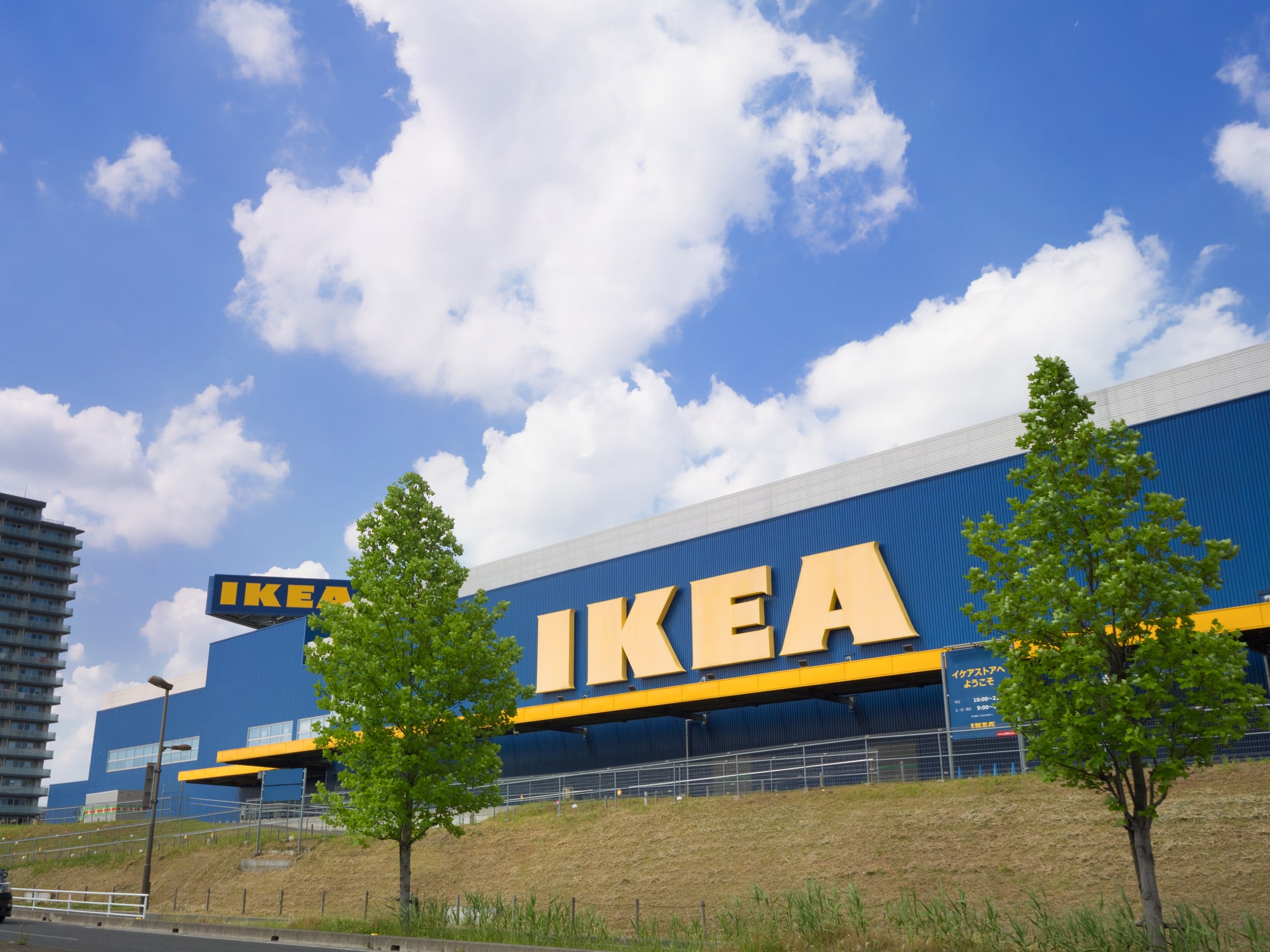 「サーモンも凍ったまま」IKEAの“499円保冷バッグ”が大人気 「気温が上がる時期の必需品」「お肉のパックやケーキの箱もOK」