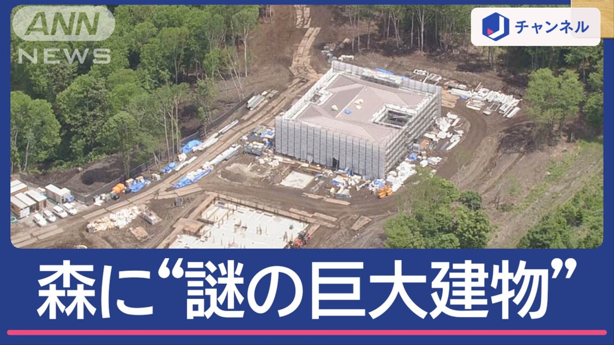 森に“謎の巨大建物”正体は？ 木を違法伐採で…誰が？何のため？