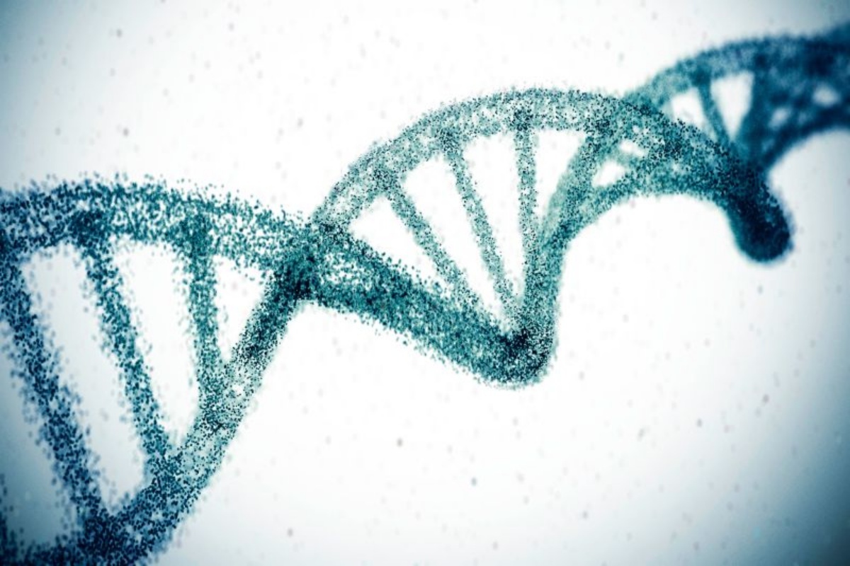 遺伝子を1度だけ「切断」、コレステロールが1年間にわたって50%低下 新研究