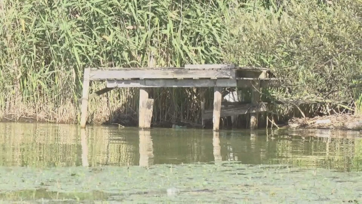 諏訪湖に“謎の台座”大量出現 誰が？何のために？ 不安の声も