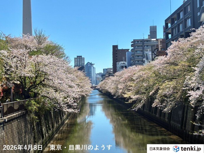 明日9日以降も全国的に日ごとの気温差大 土曜は関東で夏日予想 急な暑さに注意