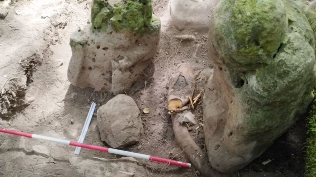 ３０００年前のマヤ文明の遺跡を発見 中米グアテマラ