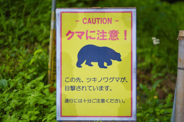 年間300万人訪れる高尾山でもクマ出没…東京都が公表する｢くまっぷ｣でわかる｢目撃情報多数｣の要注意エリア（プレジデントオンライン）｜ｄメニューニュース