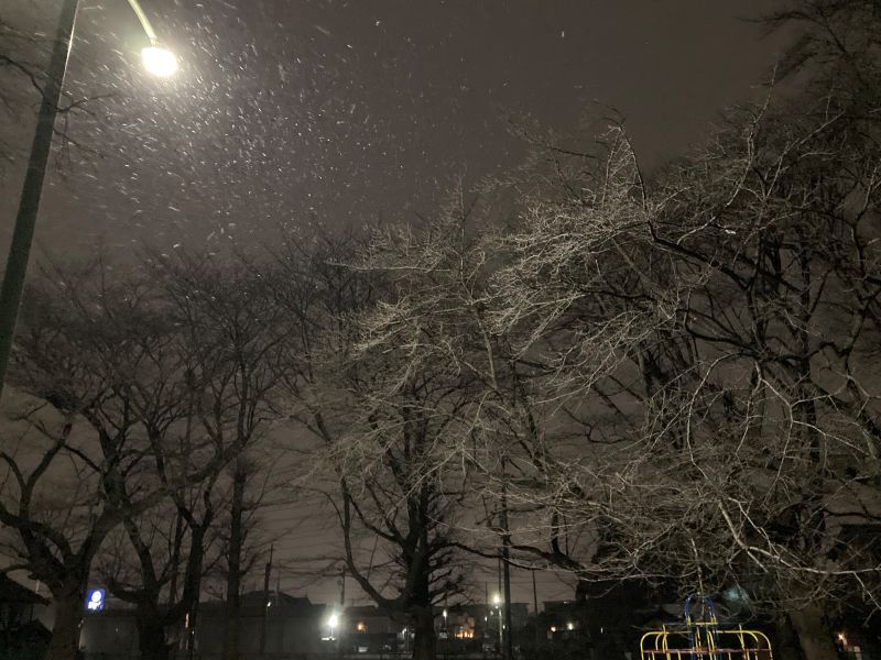 【速報】埼玉県全域に大雪注意報 南部・北部で8センチ、秩父で15センチの降雪予想 東京23区でも5センチ