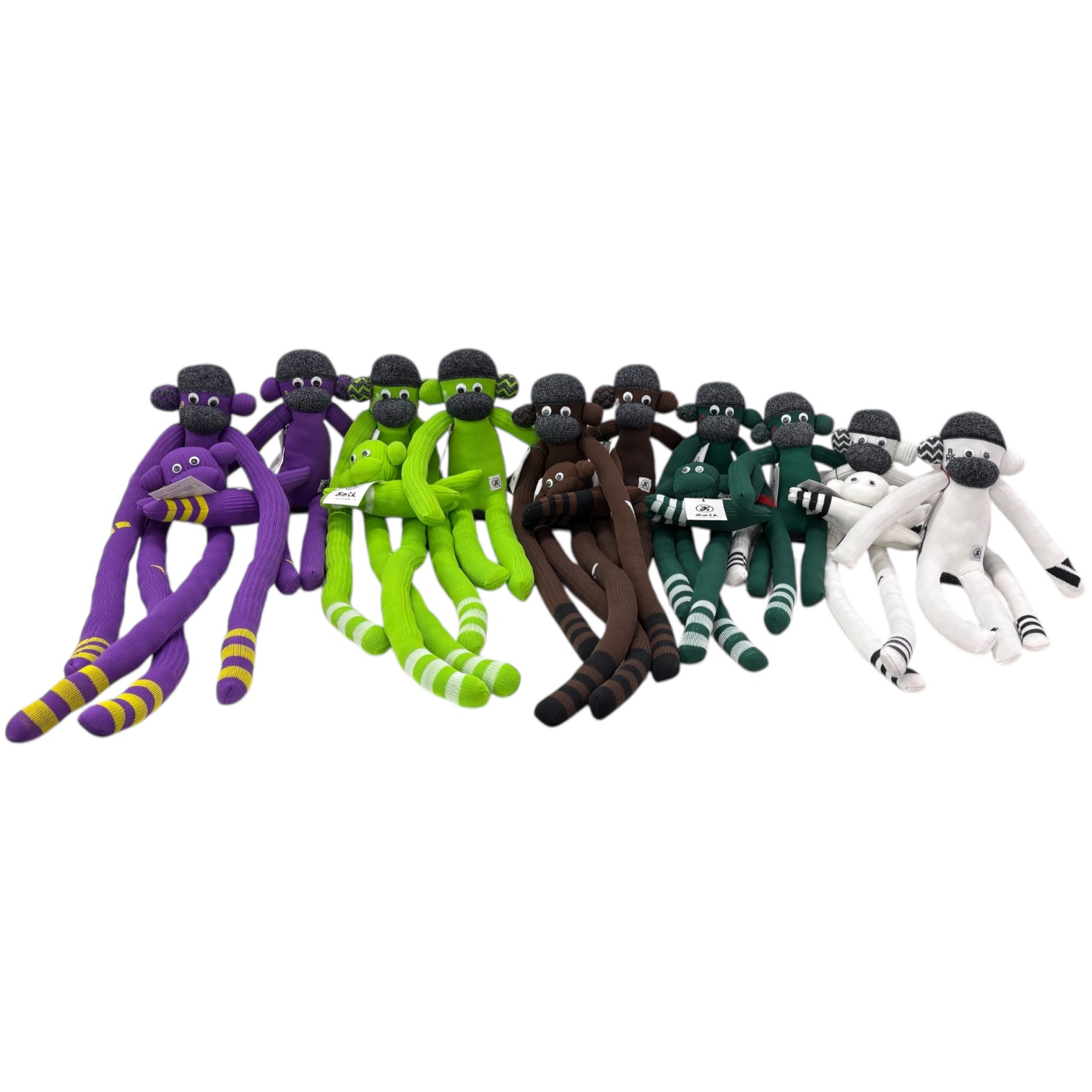 12/20（土）より ソックモンキー「おのくん」里親募集（一般販売）のお知らせ