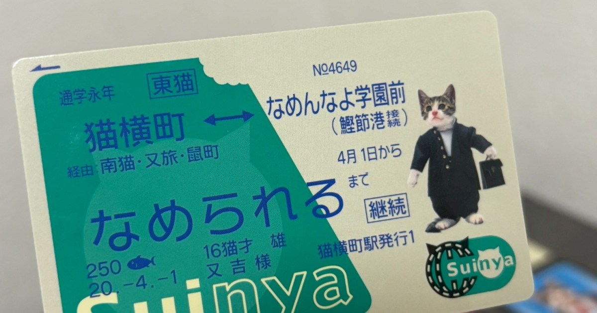 【懐かしすぎる】昭和の名作「なめ猫」が今も健在だったので、カードセットを買ってみた