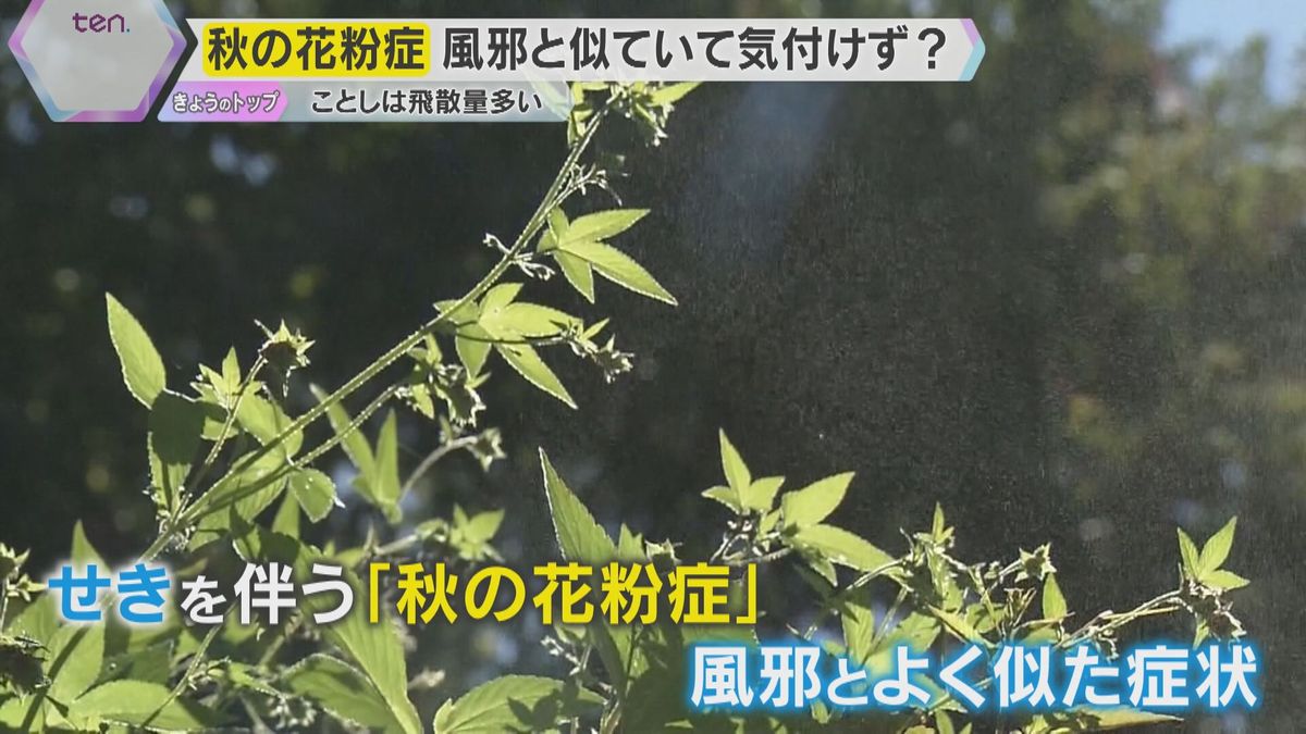 風邪だと思ったら…実は秋の花粉症 咳には要注意 今すぐできる意外な対策が鼻毛と鼻歌ってホント？