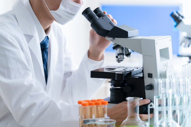 【老化を遅らせることはできるのか？】“老化細胞”を体内から除去する薬によって、マウスの身体機能が回復 将来的にがん治療に変化をもたらす可能性も