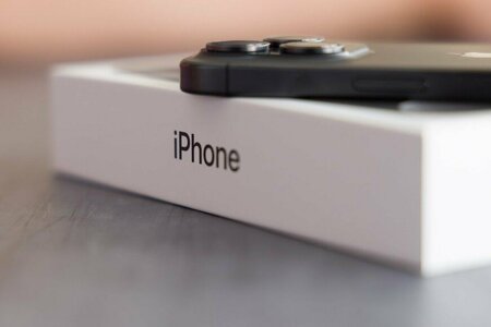 ベンチの上に置いたiPhoneに起きた悲劇 「画面を割っていた正体」に思わず目を疑う