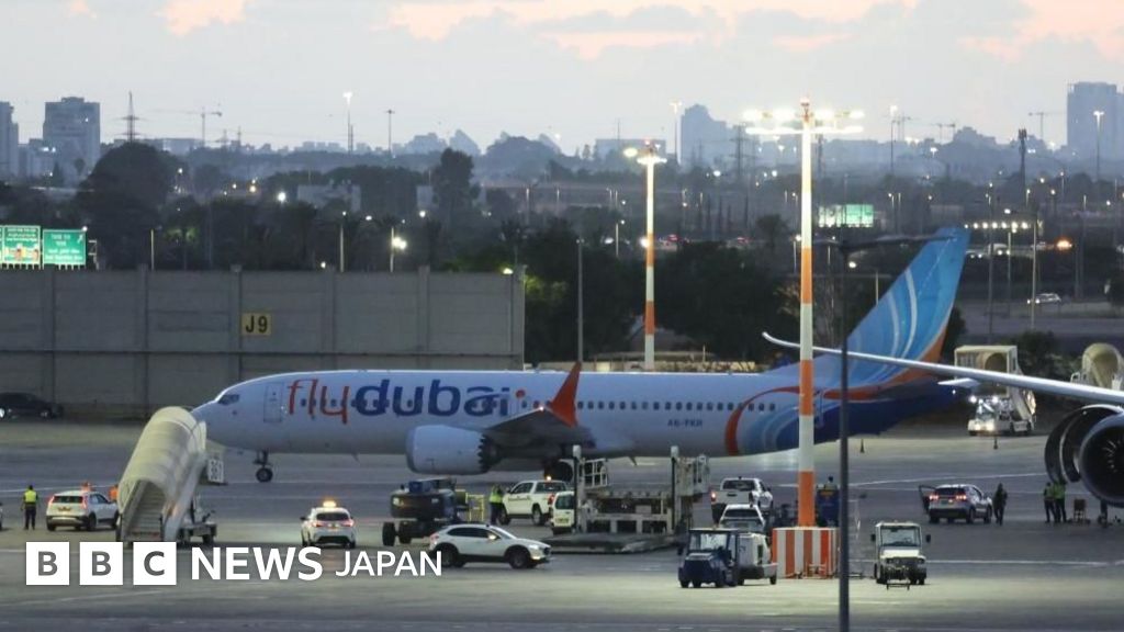 イスラエル行き旅客機が緊急着陸 操縦士が墜落図り別の操縦士を刺したか