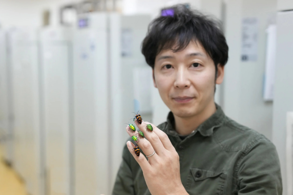 「セミはなぜ何年も土の中で過ごすのか？」昆虫の特殊な進化の裏に潜む秘密【ナゾロジー×産総研 未解明のナゾに挑む研究者たち】