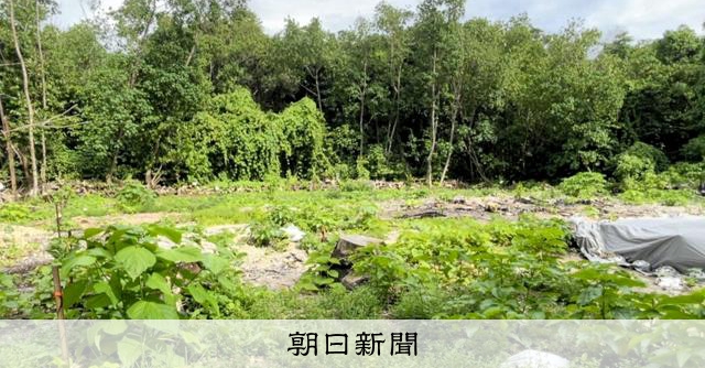 旧日本兵1千人埋葬の地、80年ごし発見 米軍資料の1文が手がかり