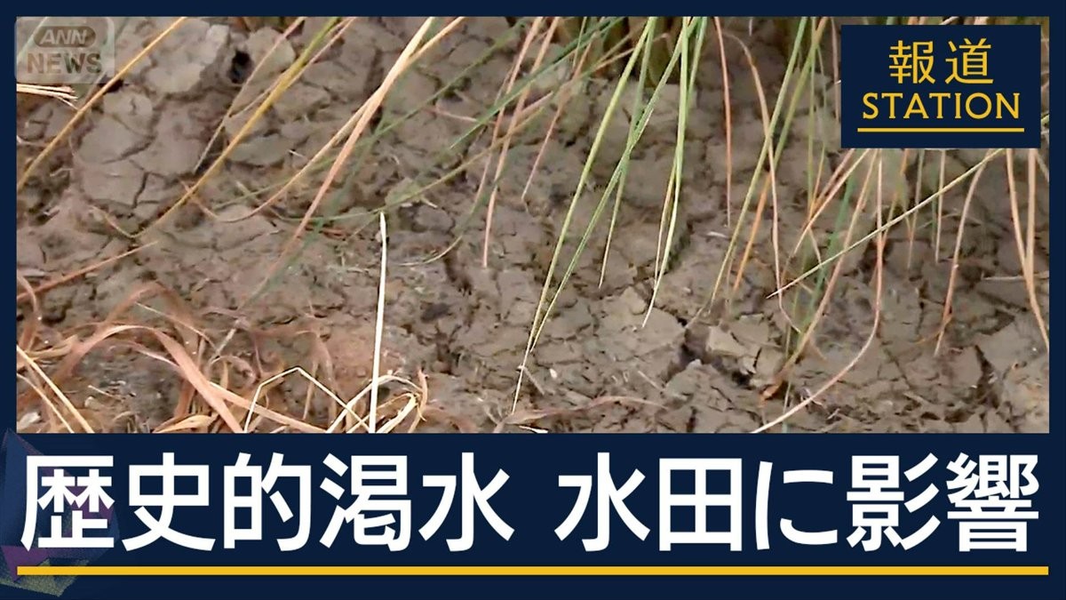 家庭に“40％節水”呼びかけ 水田にも影響…空梅雨の上越市で“歴史的渇水”