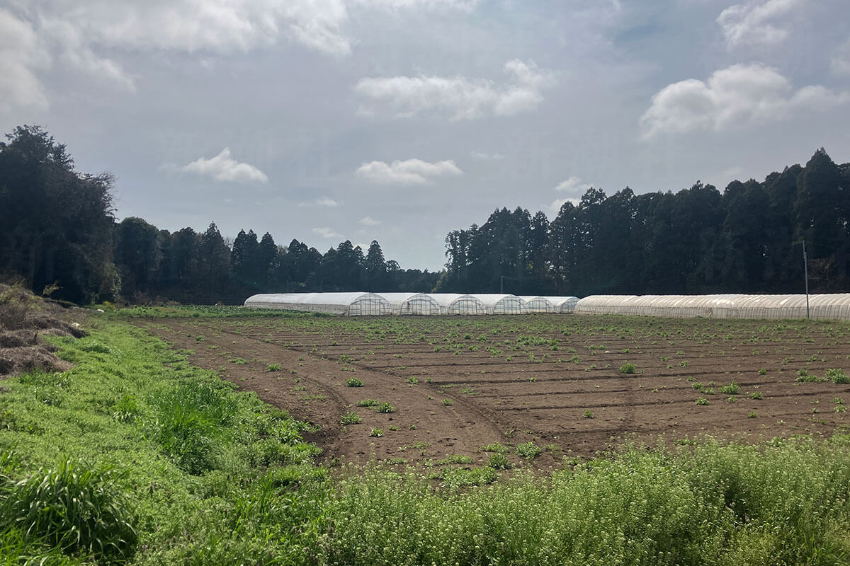 「茨城で中国人農家が増加している」 国籍を取得してから離婚… 外国人の不法就労が横行している背景とは