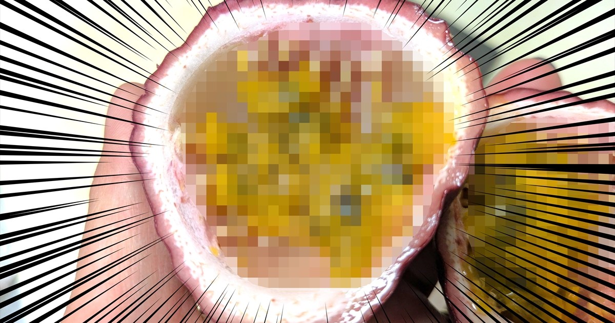 生のパッションフルーツの中身が衝撃的！ 鳥肌がゾワワッて立って悲鳴をあげた