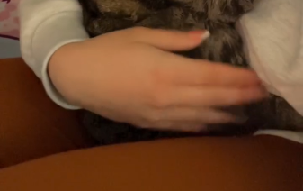 新婚旅行から帰宅→久しぶりに愛猫を抱っこした瞬間……「うわあああ！」 860万再生の姿に「赤ちゃんじゃん」【海外】