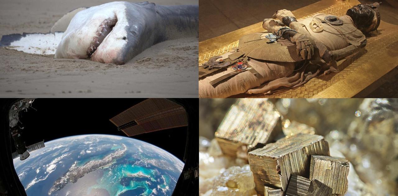 トンデモナイ感じがするけど科学的な話 4選