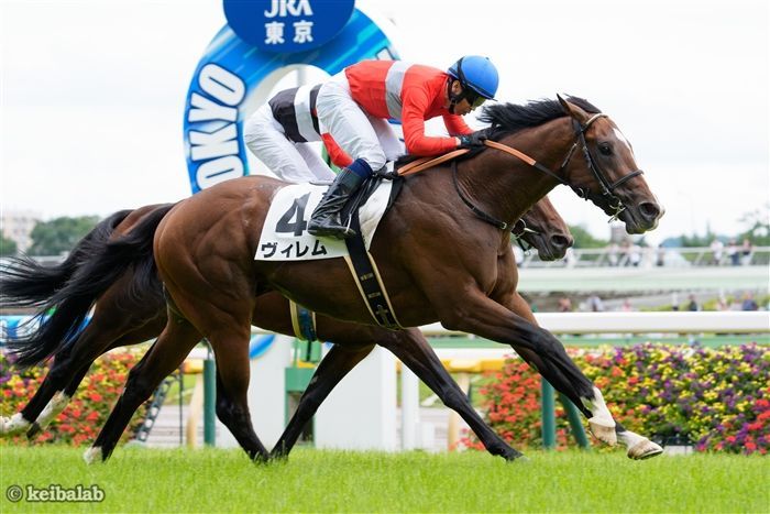 【金鯱賞】高いポテンシャルを見せつけろ！実績馬を凌駕する期待の1頭