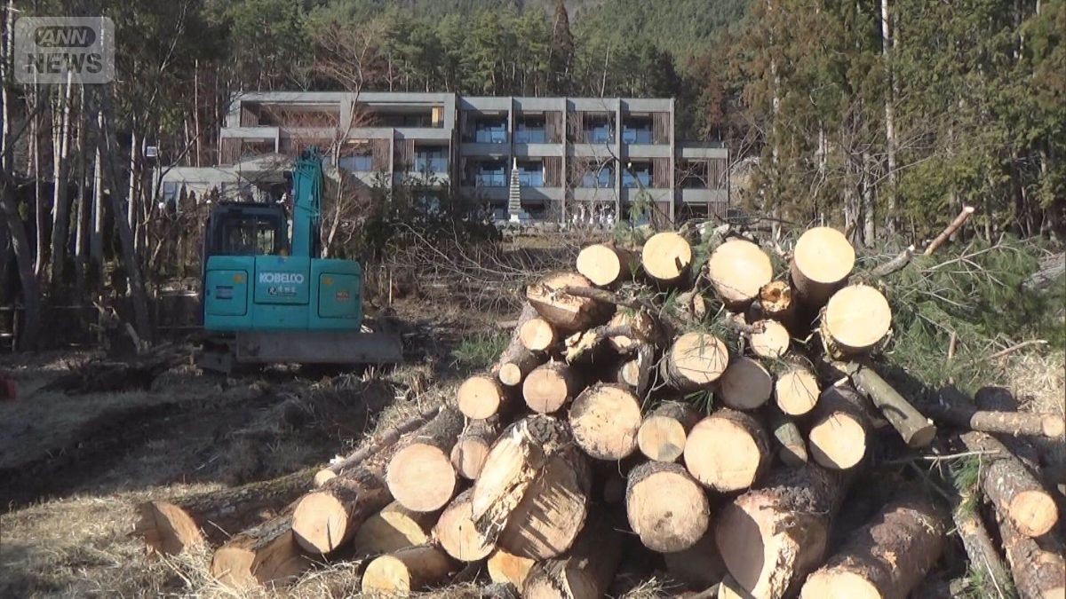 富士山さえぎる樹木伐採 中国人の男に執行猶予付き有罪判決 「非常に軽い」被害者憤り