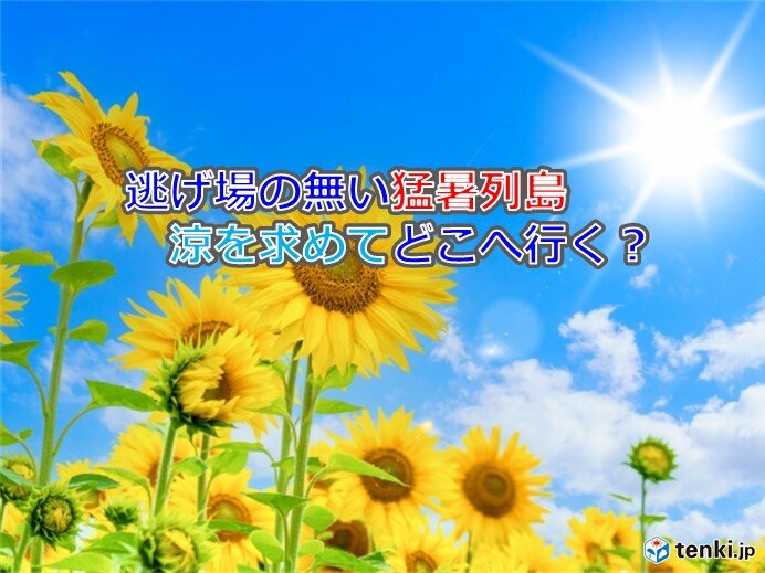 北陸 7月の平均気温も過去最高か 歯止めが効かない猛暑 台風・ダブル高気圧も一因