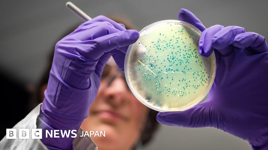 AIが「スーパー耐性菌」に有効な抗生物質を設計 淋菌とブドウ球菌で